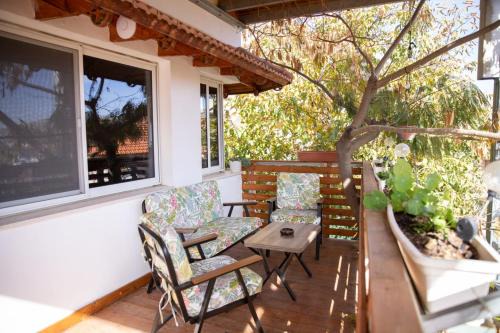 Majdal al-Shams Casa | Star Suite - Rural experience - Northeast point