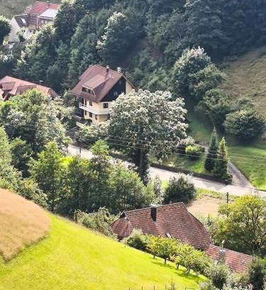 Bad Rippoldsau-Schapbach Apartamento | Startingpoint mit Schwarzwald Plus