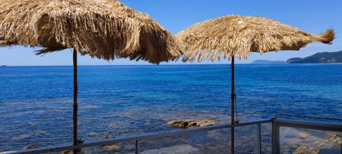 Toulon - Hyeres Cama Y Desayuno | Stella Maris