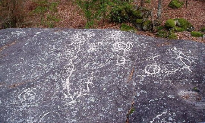 Lindoso Cabaña | Hoteles en Ciudad de México