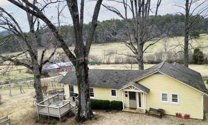 Tiger Cabaña | Stonewall Creek Vineyards- Ruthie's Yellow House