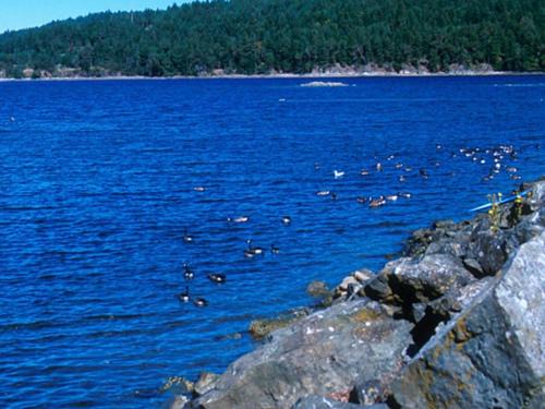 Regional District of Nanaimo Casa | Stop renting