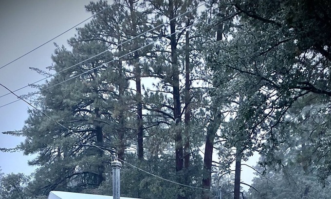 Pine Cove Casa | Storybook Cottage