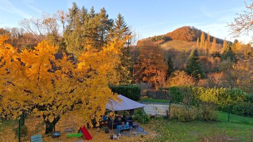 L'Etoile Apartamento | Studio 3 lits dans belle maison ancienne et jardin fermé