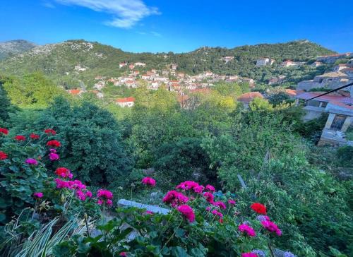 Lastovo Apartamento | Studio Apartman Ana
