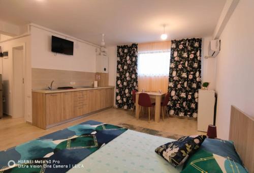 Mangalia Apartamento | Studio Lorena