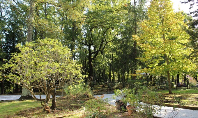 Massa Marittima Villa | Maravillosa casa de vacaciones privada con piscina privada, WIFI, TV, patio y mascotas permitida