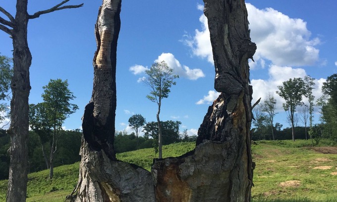Colrain Otro | Las comodidades del hogar ...