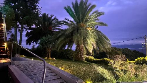 Urzelina Apartamento | Style Suites