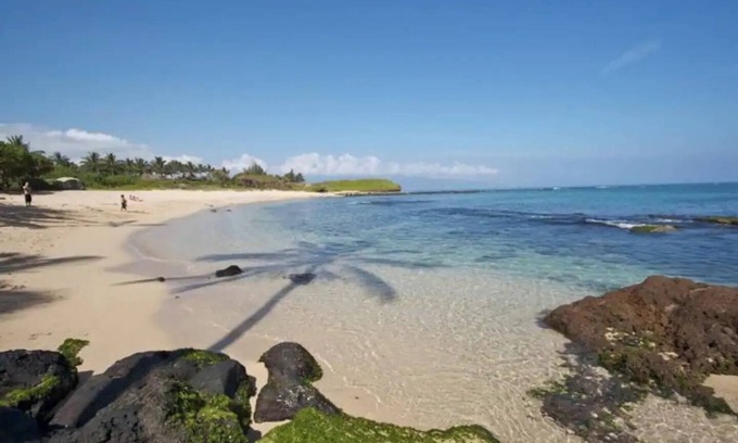 Kuau Apartamento | Suite on North Shore property. Walk to beach & town!