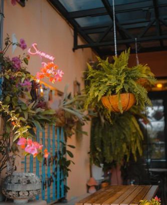 South Beach Casa | Summer Delight B&B