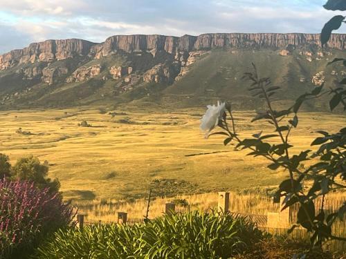 Harrismith Apartamento | SUMMER PLACE
