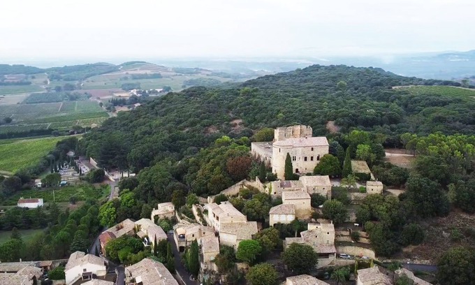 Venejan Otro | SUN, CICADAS AND CHÂTEAU LIFE
