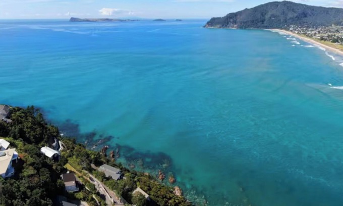 Coromandel Forest Park Casa | Sun-Kissed Shores of Tairua!!