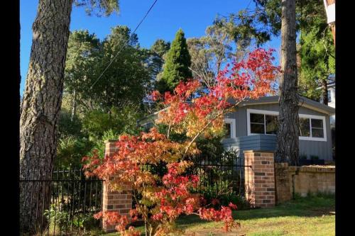 Wentworth Falls Casa | Sunflower House, a cozy cabin at Lake Wentworth
