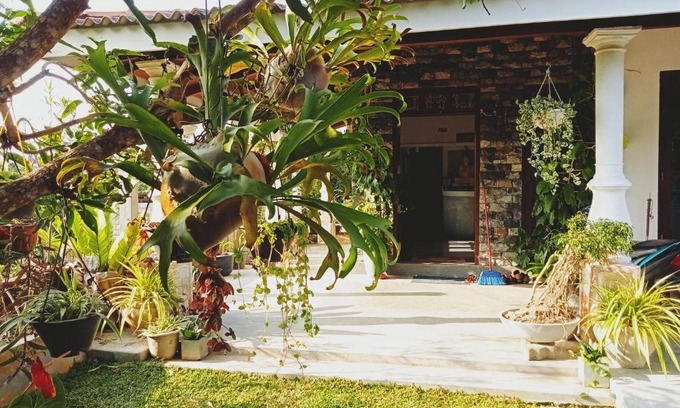 Kamburugamuwa Complejo | Sunrise Eco Resort