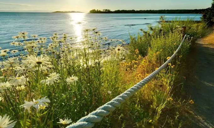 Regional District of Nanaimo Apartamento | Sunrise Ridge Waterfront Resort