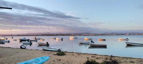 Olhao Villa | Sunshine, casa de campo e praia, estilo e conforto, espaço e privacidade, perfeita para as suas férias em Olhão