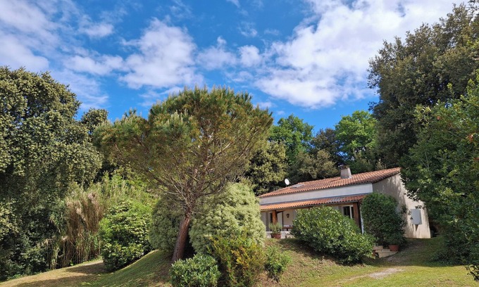 Meschers-sur-Gironde Villa | Magnífica villa para 14 personas - Piscina climatizada - Cerca de la playa