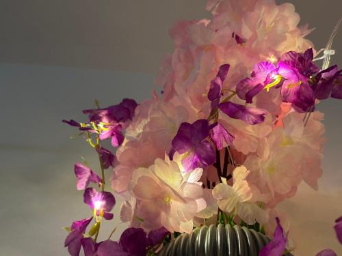 Ejipura Apartamento | Swargaa Fireflies Duo