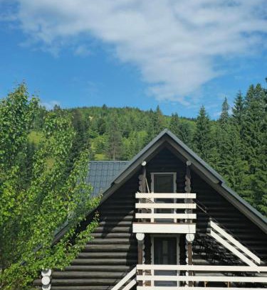 Myslivka Apartamento | Synevyr House 2