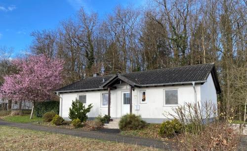 Ferienhausgebiet Hillenseifen Casa | ‘t Boszicht