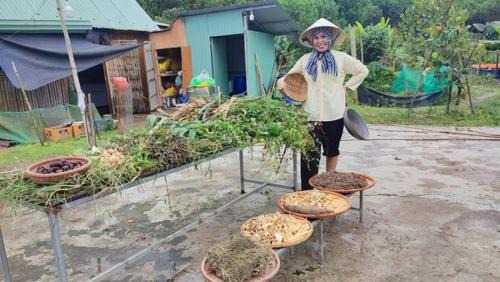 Dong Giang Otro | T&J Farmstay