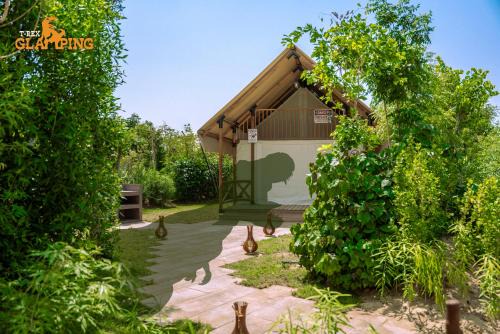 Jebel Ali Otro | T-Rex Glamping
