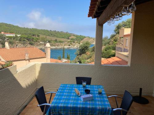 Banyuls-sur-Mer Apartamento | T3 PIEDS DANS L'EAU CLIM WIFI TERRASSE VUE MER