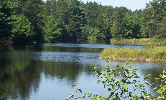 Black River Falls Casa | Tall Pines Lodge (Cottages On Serenity Lake) con 80 acres de vida silvestre.