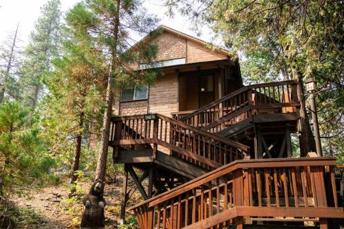 Sierra Cedars Casa | Tallwood Cabin A Treetop Mountain Retreat
