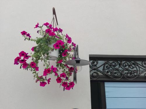 Pesaro Cama Y Desayuno | Tambien B&B