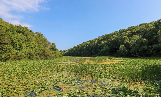 Castlemartin Cabaña | TEASEL, pet friendly, character holiday cottage in Pembroke