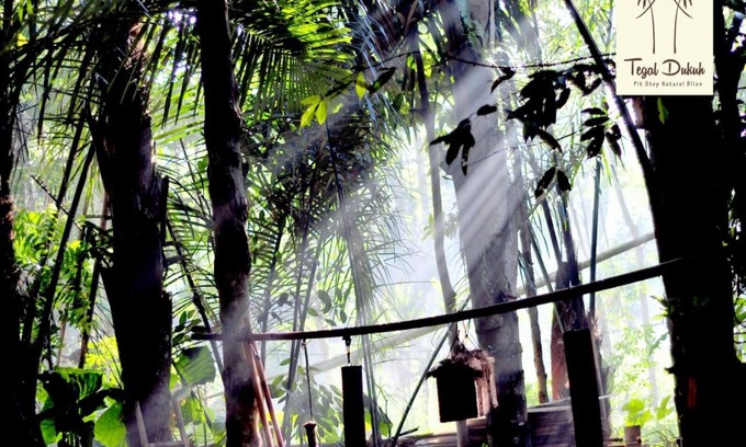 Taro Alquiler De RV | Tegal Dukuh Camp
