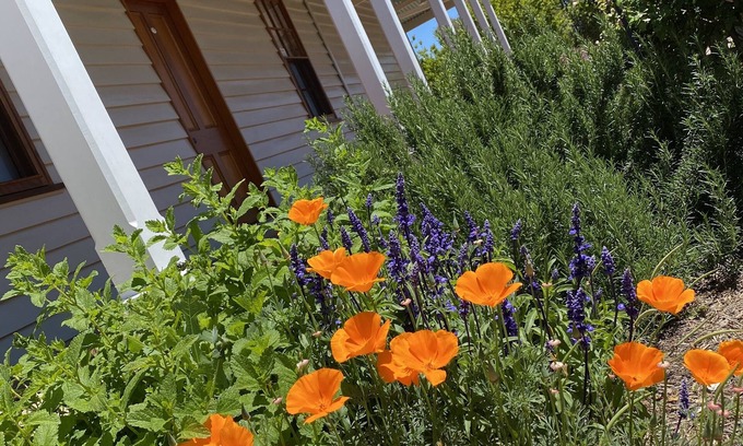 Gulgong Casa | Telegraph Station