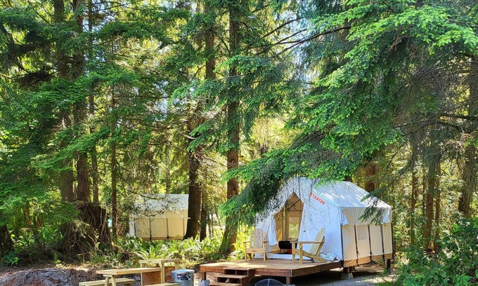 Arlington Alquiler De RV | Tentrr Signature Site - Fern Gully Site 2