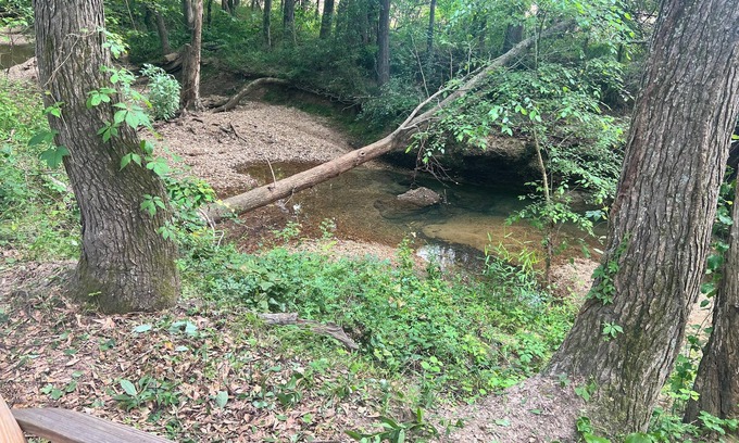 Florence Alquiler De RV | Tentrr Signature Site - Stargazing at Hidden Creek