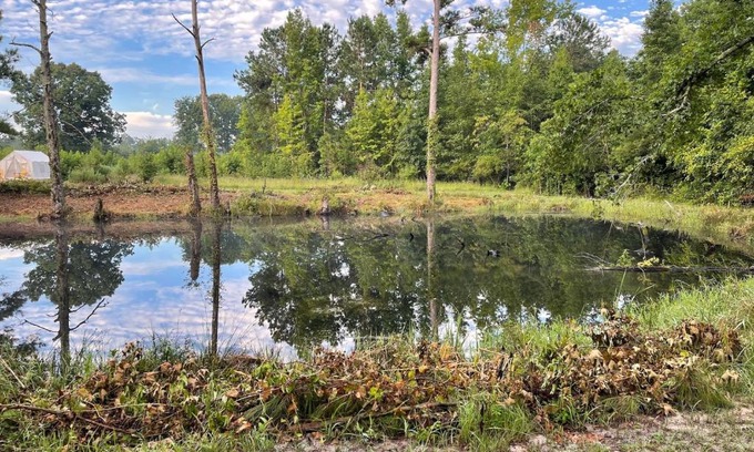 Little Rock Otro | Tentrr Signature Site - The Great Southern Jordan Ranch & Family Farms