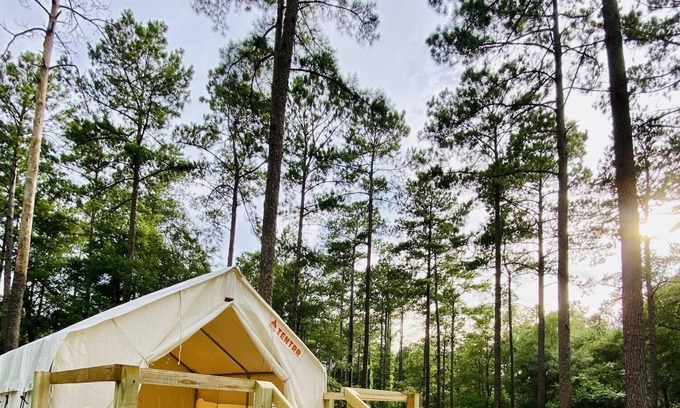 Talisheek Alquiler De RV | Tentrr State Park Site - Louisiana Bogue Chitto State Park - Gorge Trail O - Sin