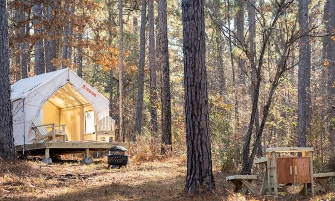 Quitman Alquiler De RV | Tentrr State Park Site - Mississippi Clarkco State Park - Trailside E - Single C