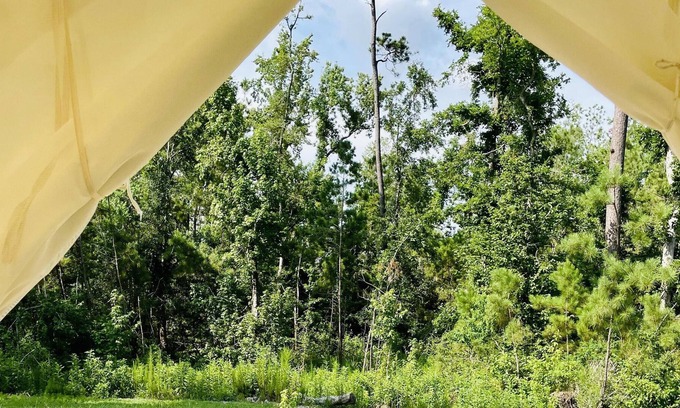 Lake Charles Alquiler De RV | Tentrr State Park Site - Louisiana Sam Houston Jones State Park - Woodland I Sin