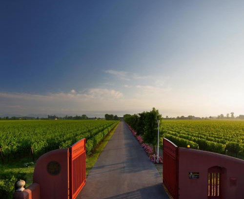 Biancade Casa | Tenuta Santomè