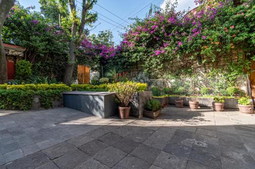 Coyoacán Casa | Terraza & Loft San Ángel