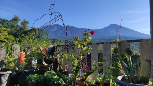 Tetebatu Casa | Tetebatu Terrace Homestay