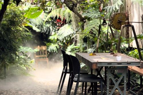 Bao Loc Casa | Thỏ Non Garden - Bảo Lộc Center 02