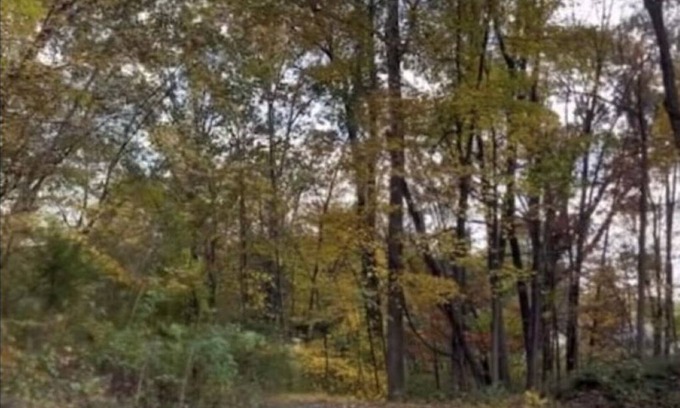 Red Hook Apartamento | THE ARTIST’S LOFT- Peaceful 1-bedroom apartment in lovely Red Hook with AC, WiFi