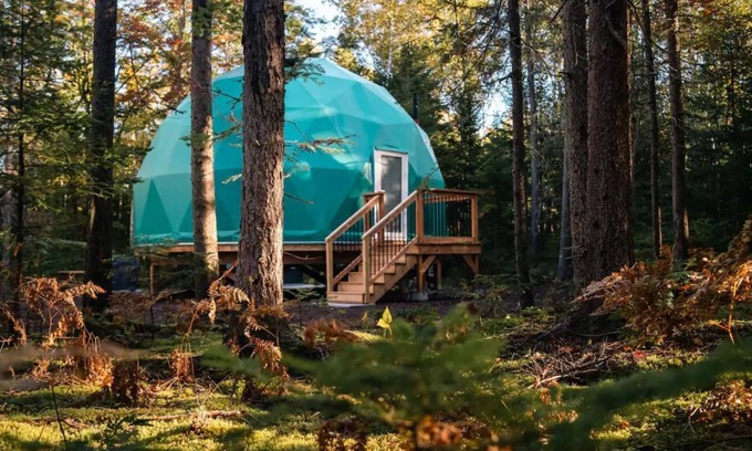 Queens County Cabina | The Balsam Fir