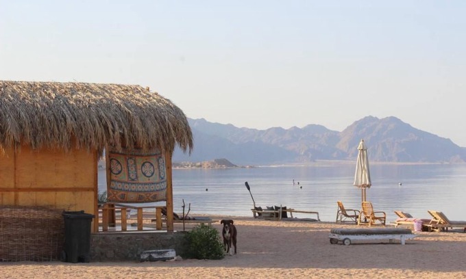 Nuweiba Villa | The Bedouin Life with Eid Ali - Two Twin Bed Room 3