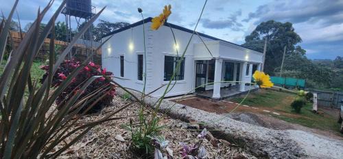 Kericho Casa | The Beleza Suites