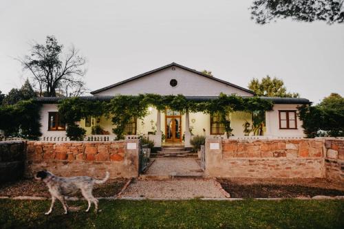 Nieu-Bethesda Casa | The Bethesda